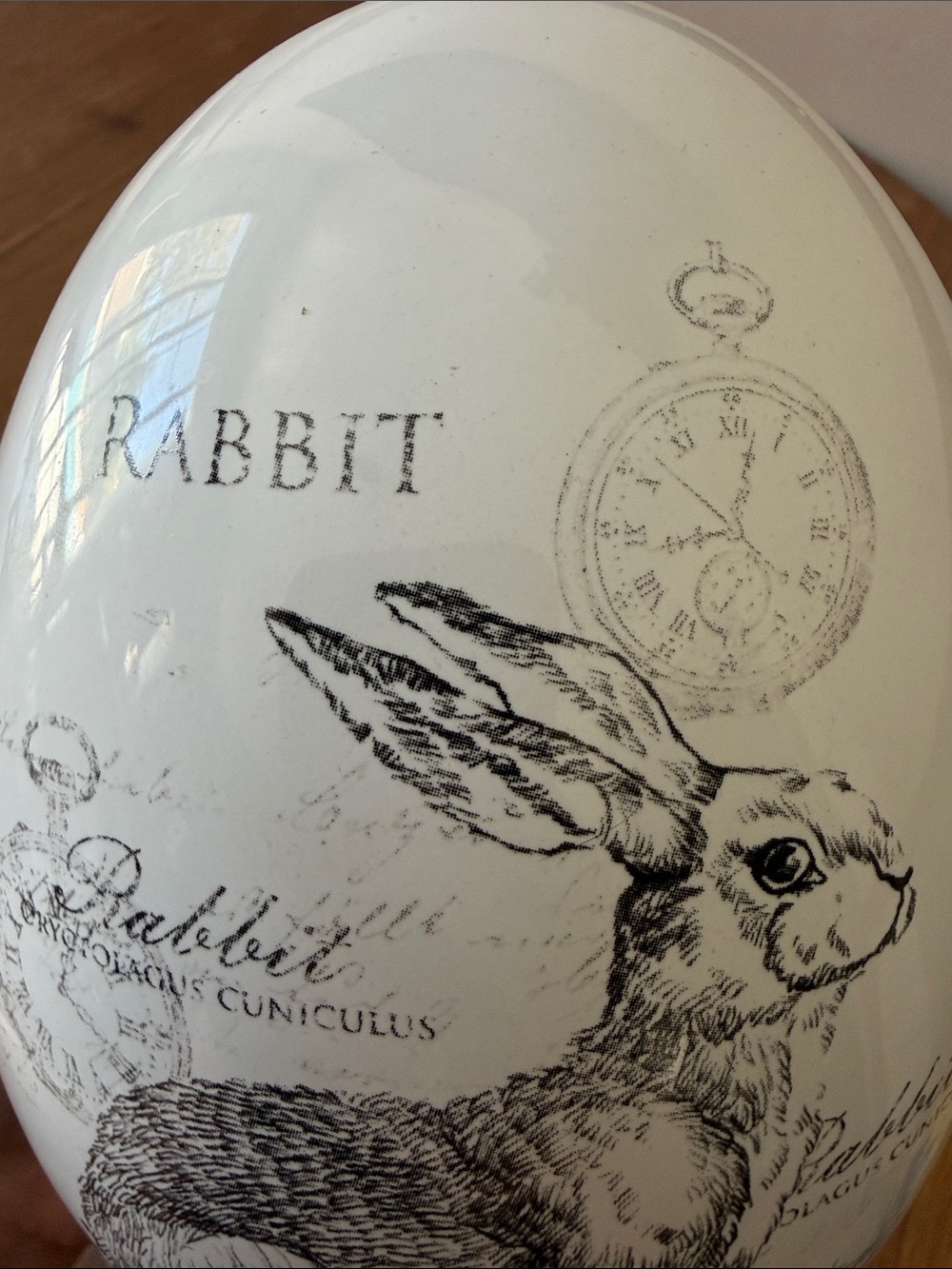 White Rabbit Decorative Accent ceramic egg - Picture 16 of 16